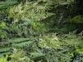 20260623_131753.jpg