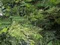 20260623_131750.jpg