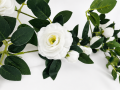 8c7a8bf8-f4ff-44d9-9811-cffb34dfb935.png
