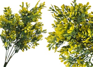 Bukszpan żółty gałązka 33 cm UV