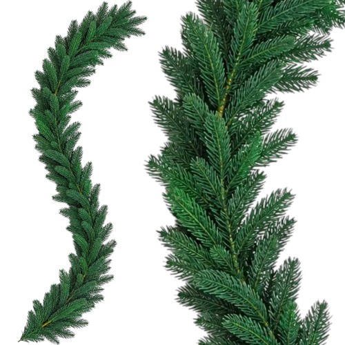 Świerk11.jpg