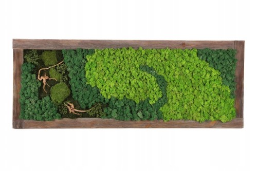 994c7d7843c196a67f35ba23e2fc