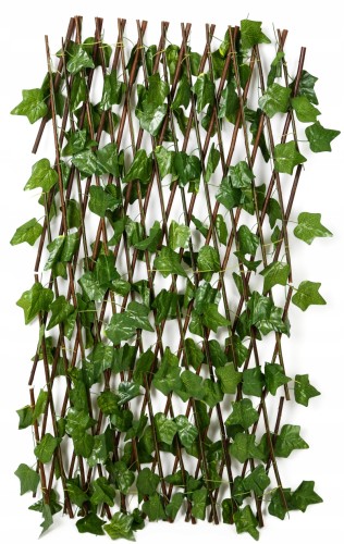 a603cbda47059bb3db86b1eb3e71