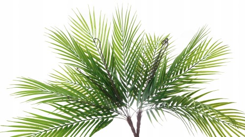 8381a6334db18f7563b5cefa6222