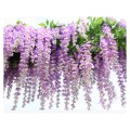 wisteria.jpg