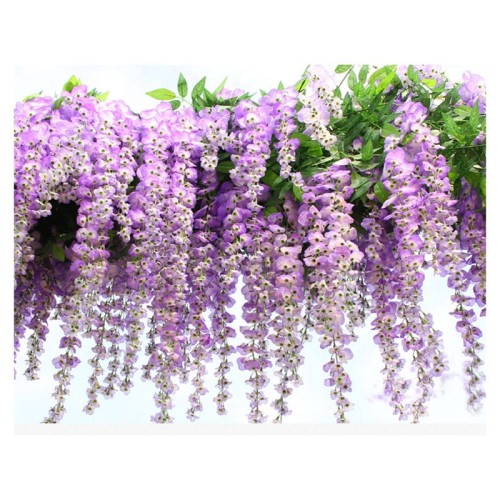 wisteria.jpg