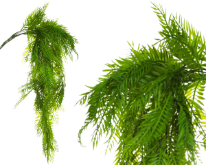 Sztuczna Paproć Egzotyczna