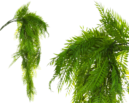 Sztuczna paproć egzotyczna.png