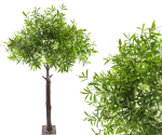 Drzewko Oliwne 190cm 