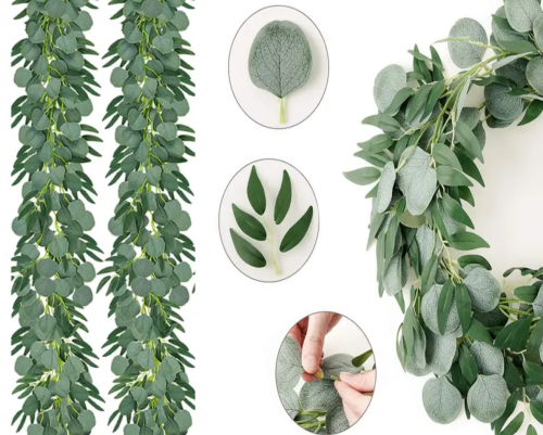 Eukaliptus+ ruskus.png