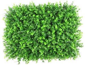 Zielona Ściana  Mix Roślin