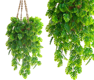 Sztuczny Zwis Monstera