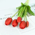 tulipb.jpg
