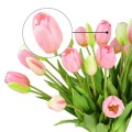 tulipc.jpg