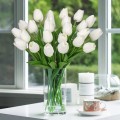 Tulippg.jpg