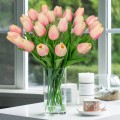 Tulippp.jpg