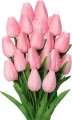 tulipp4.jpg