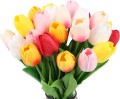 tulipsall.jpg
