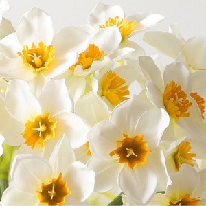 Narcyz 32 cm 6 sztuk