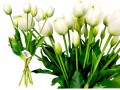 GTU10405WH- A.jpg