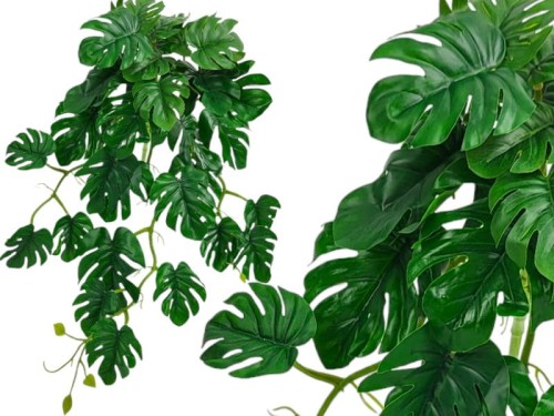 monstera plush Monstera Deliciosa Albo Variegata Plushie main image 0