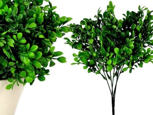 Bukszpan Gałązka 33 cm