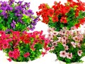 1-Photoroom (4)-Photoroom.jpg