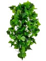 GRIVYGARL1b.jpg