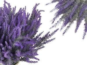 Lawenda