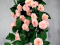 GRWILROSESLIP5.jpg