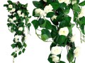 GRWILROSESCR8.jpg