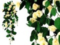 GRWILROSESCR5.jpg
