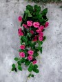 GRWILROSESCR3.jpg