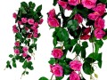 GRWILROSESCR4.jpg