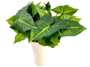 Egzotyczne liście bukiet 50 cm 