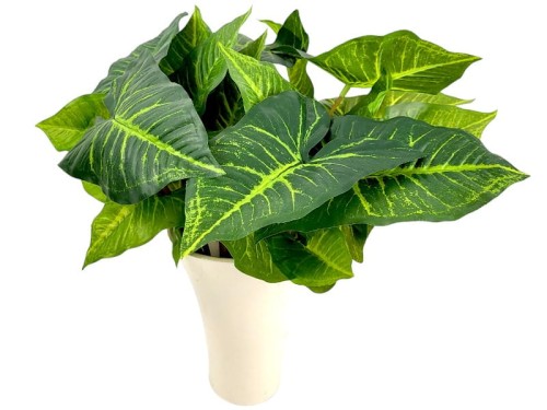 okładka1-Photoroom (1).jpg