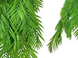 Sztuczna Palma gałązki PREMUIM UV 80 cm 