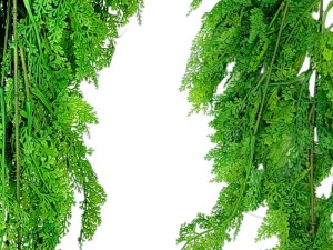 Sztuczna Paproć Leśna PREMUIM UV 80 cm 