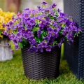 bd4a455d-9d9c-44d1-9fb4-2804e263ef0e.webp