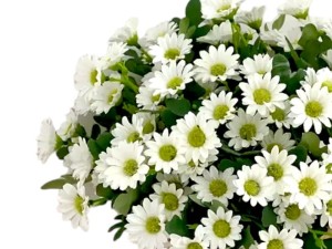 Sztuczne Chryzantema Rumianek