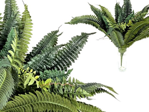 20240524_090855-Photoroom (2).jpg