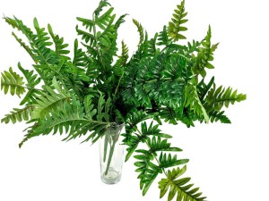 Sztuczna Paproć 40X60