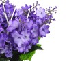 20240529_091701-Photoroom.jpg