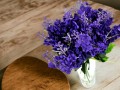 20240529_091920-Photoroom.jpg