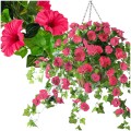 Sztuczna-Surfinia-Pnacze-Balkon-Taras-Sztuczne-Kwiaty-Pelargonia-Pelargonie-.jpg