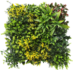 Mata Fireworks UV 50 x 50 cm