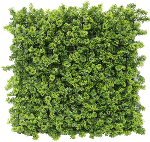 MOSS.png