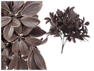 Bukiet Brązowe Liście