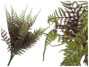 Paproć Bukiet  Brązowa 