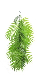 Griny Pnącze Palma Zwis UV